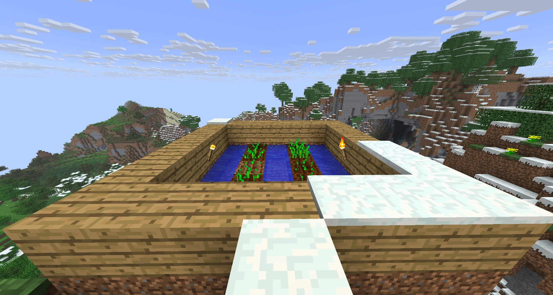 Beta Minecraft screenshot of a small wheat farm in a taiga biome. There are two torches on the inside of the farm. The bottom-right side of the farm's outside has some snow on it.