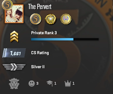 1,661 premier & silver 2 wingman