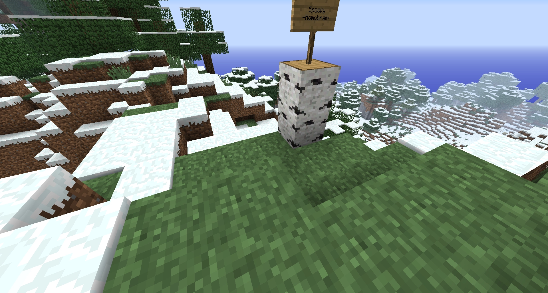Screenshot of an area in the tundra showing some grass. A sign on top of two birch logs reads "Spooky -Homobrain".