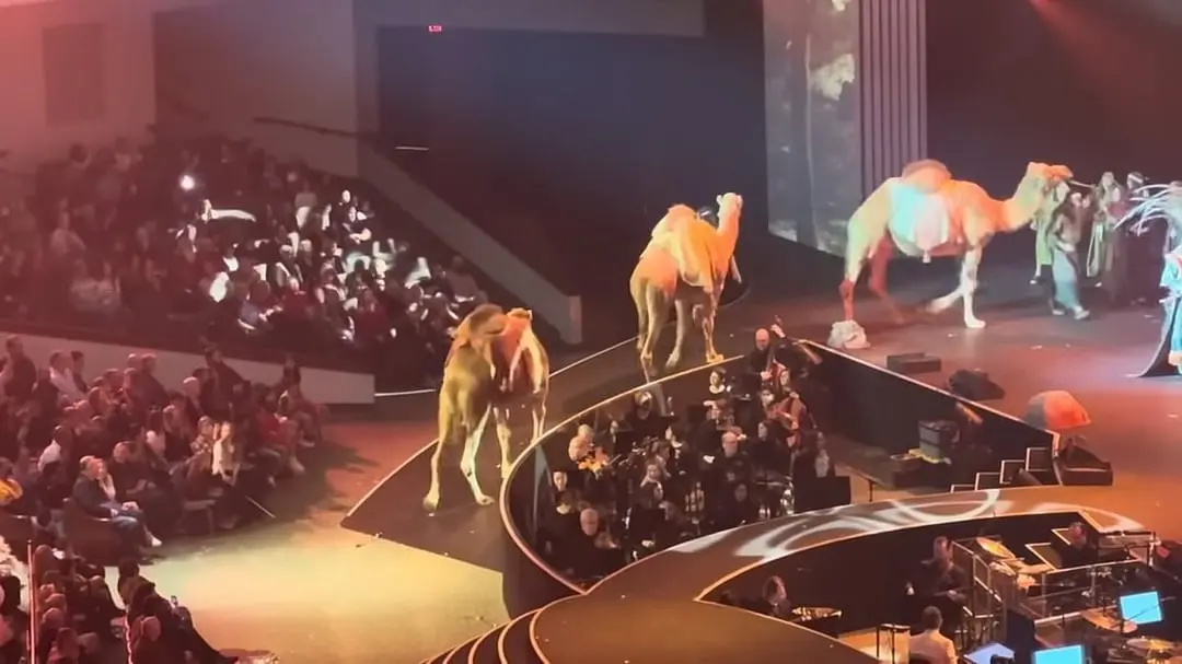 camels walking up the steps of a mega church 